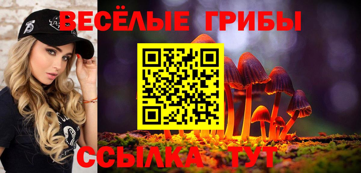 Наро-Фоминск  Галлюциногенные грибы Magic Shrooms  даркнет сайт  Вход с VPN 